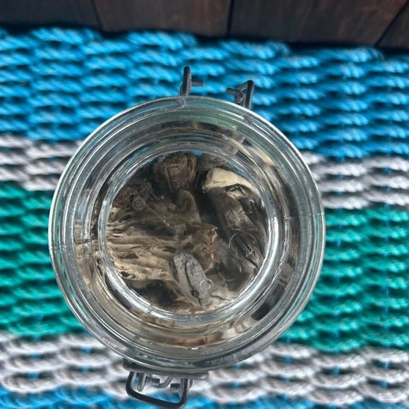 Montauk drift wood handpicked from the beaches of Montauk in a vintage jar - Picture 7 of 7